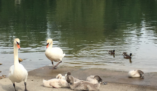 Bord de Seine primptemps