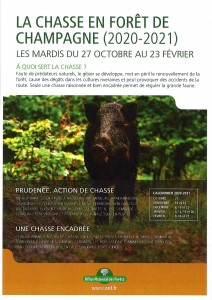 Chasse en forêt de champagne @ Forêt de champagne