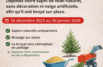 Collecte des sapins
